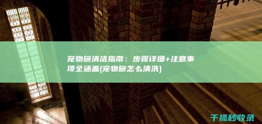宠物碗清洁指南：步骤详细+注意事项全涵盖 (宠物碗怎么清洗)