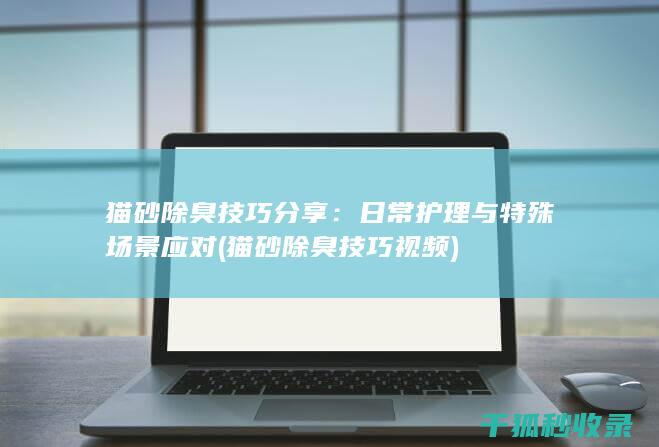 猫砂除臭技巧分享：日常护理与特殊场景应对 (猫砂除臭技巧视频)