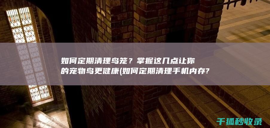 如何定期清理鸟笼？掌握这几点让你的宠物鸟更健康 (如何定期清理手机内存?)