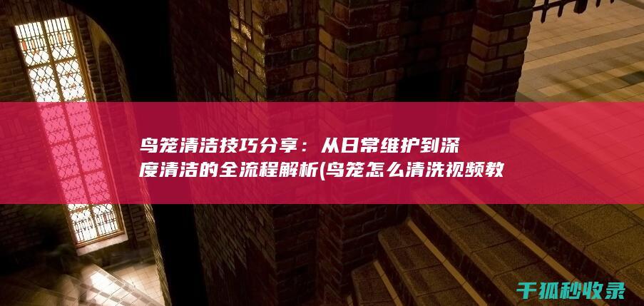 鸟笼清洁技巧分享：从日常维护到深度清洁的全流程解析 (鸟笼怎么清洗视频教程)