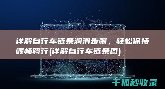 详解自行车链条润滑步骤，轻松保持顺畅骑行 (详解自行车链条图)