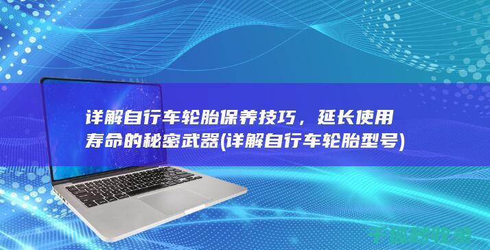 详解自行车轮胎保养技巧，延长使用寿命的秘密武器 (详解自行车轮胎型号)