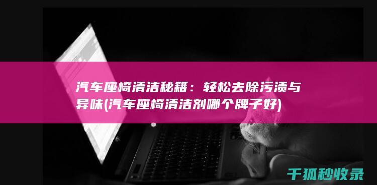 汽车座椅清洁秘籍：轻松去除污渍与异味 (汽车座椅清洁剂哪个牌子好)