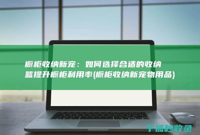 橱柜收纳新宠：如何选择合适的收纳篮提升橱柜利用率 (橱柜收纳新宠物用品)