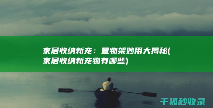 家居收纳新宠：置物架妙用大揭秘 (家居收纳新宠物有哪些)