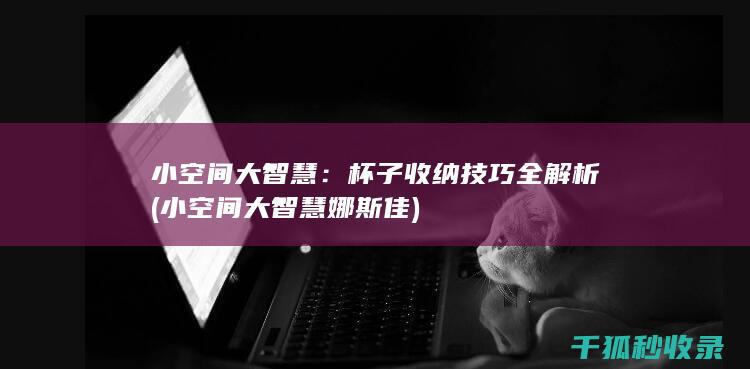 小空间大智慧：杯子收纳技巧全解析 (小空间大智慧娜斯佳)