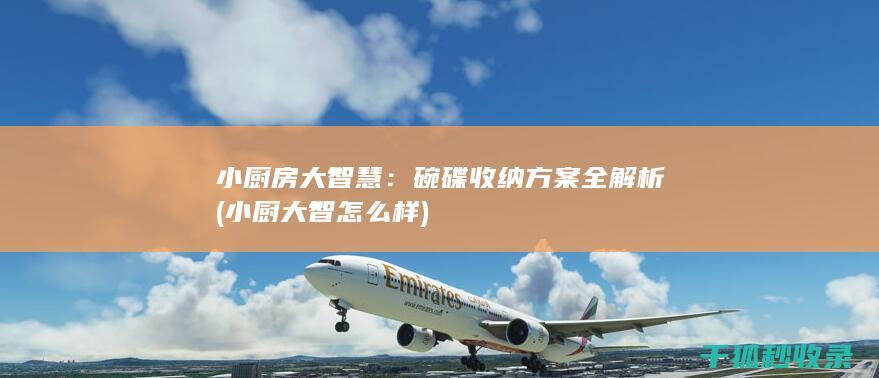 小厨房大智慧：碗碟收纳方案全解析 (小厨大智怎么样)