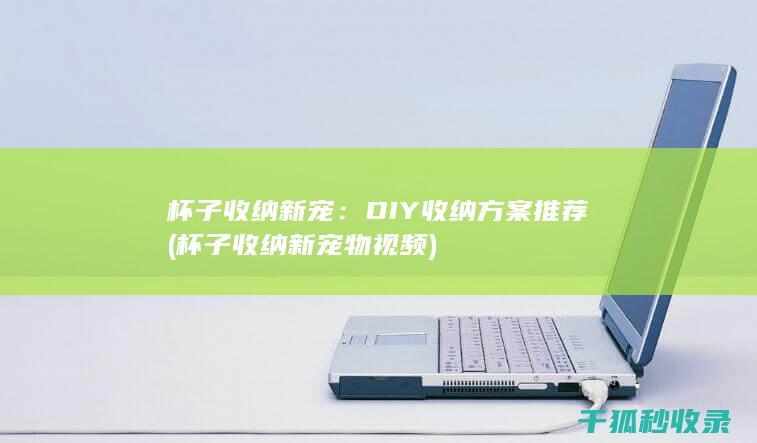 杯子收纳新宠：DIY收纳方案推荐 (杯子收纳新宠物视频)