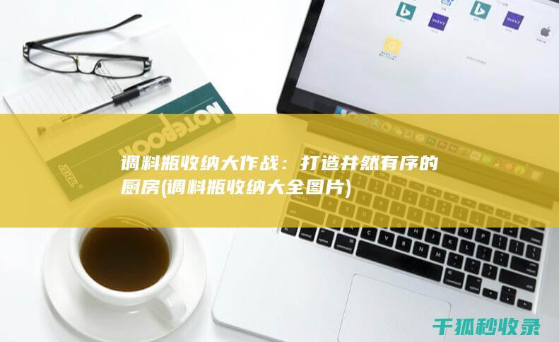 调料瓶收纳大作战：打造井然有序的厨房 (调料瓶收纳大全图片)