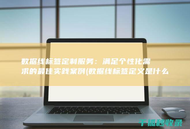数据线标签定制服务：满足个性化需求的最佳实践案例 (数据线标签定义是什么)