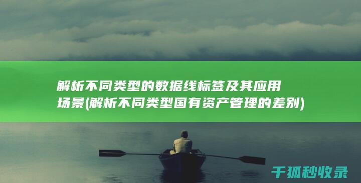 解析不同类型的数据线标签及其应用场景 (解析不同类型国有资产管理的差别)