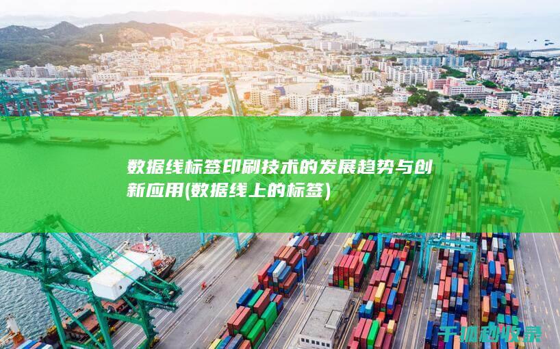 数据线标签印刷技术的发展趋势与创新应用 (数据线上的标签)