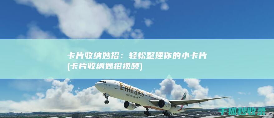 卡片收纳妙招：轻松整理你的小卡片 (卡片收纳妙招视频)