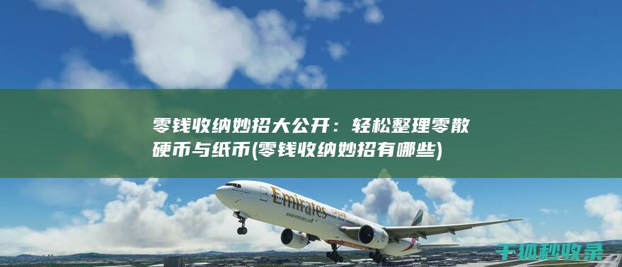 零钱收纳妙招大公开：轻松整理零散硬币与纸币 (零钱收纳妙招有哪些)