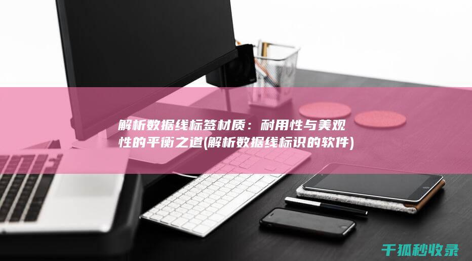 解析数据线标签材质：耐用性与美观性的平衡之道 (解析数据线标识的软件)