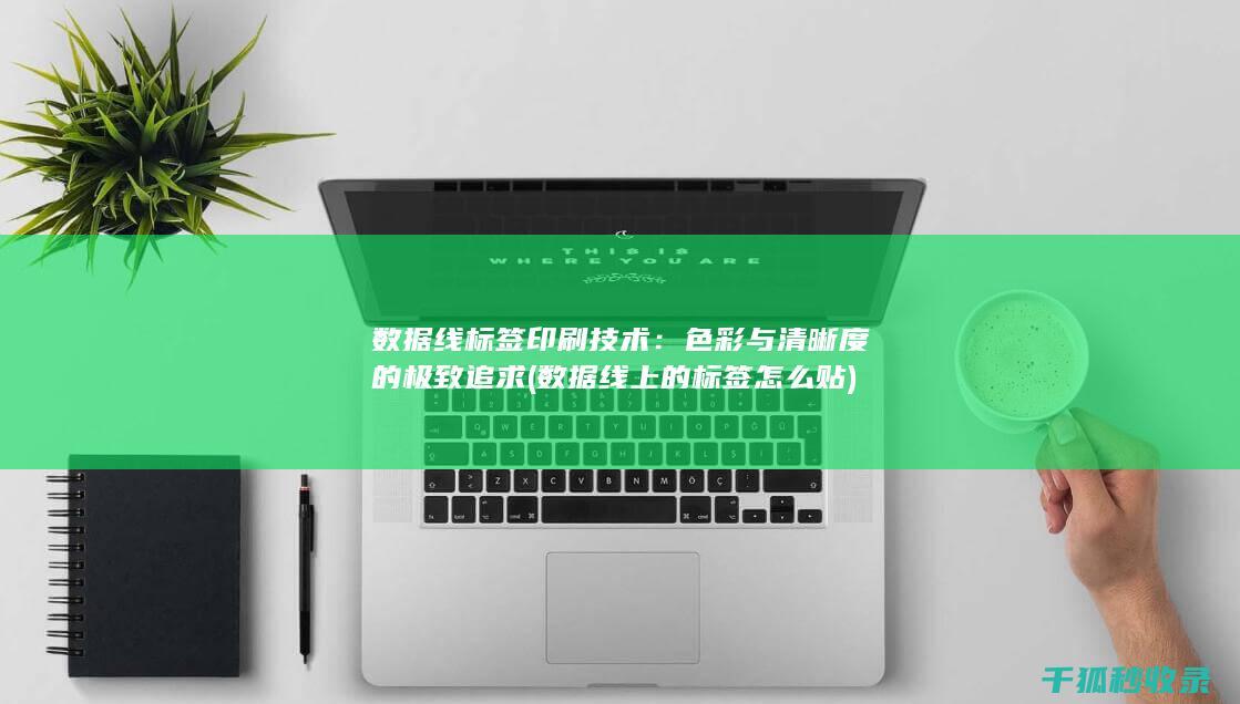 数据线标签印刷技术：色彩与清晰度的极致追求 (数据线上的标签怎么贴)