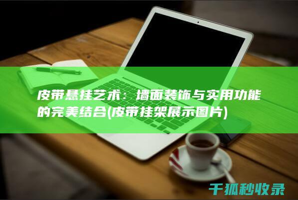 皮带悬挂艺术：墙面装饰与实用功能的完美结合 (皮带挂架展示图片)
