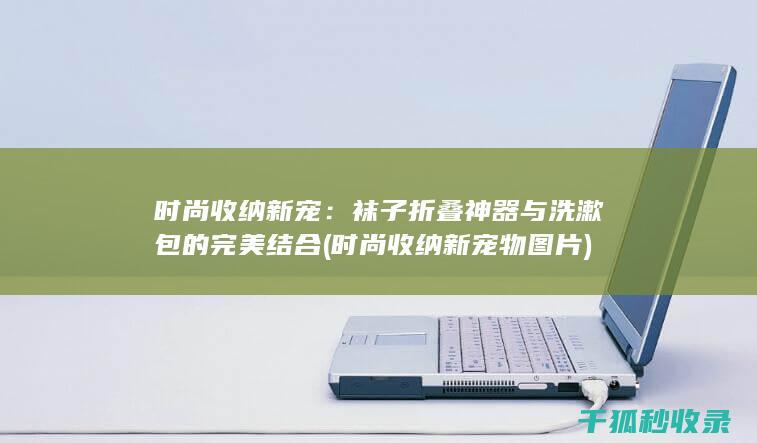 时尚收纳新宠：袜子折叠神器与洗漱包的完美结合 (时尚收纳新宠物图片)