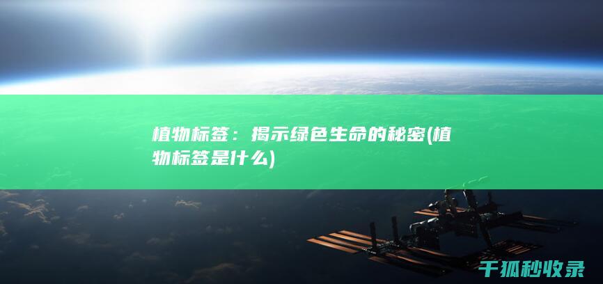 植物标签：揭示绿色生命的秘密 (植物标签是什么)