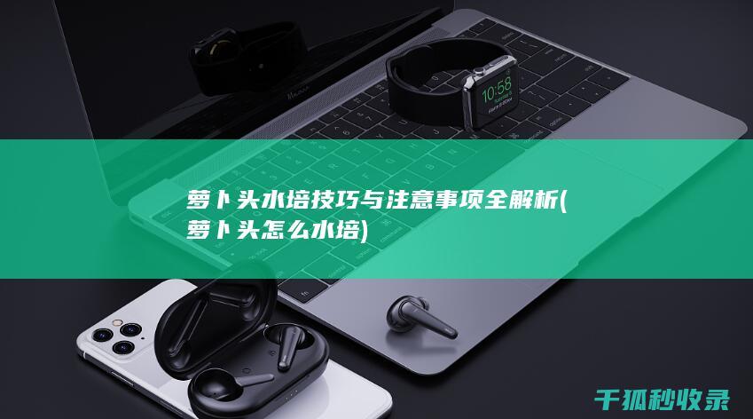 萝卜头水培技巧与注意事项全解析 (萝卜头怎么水培)