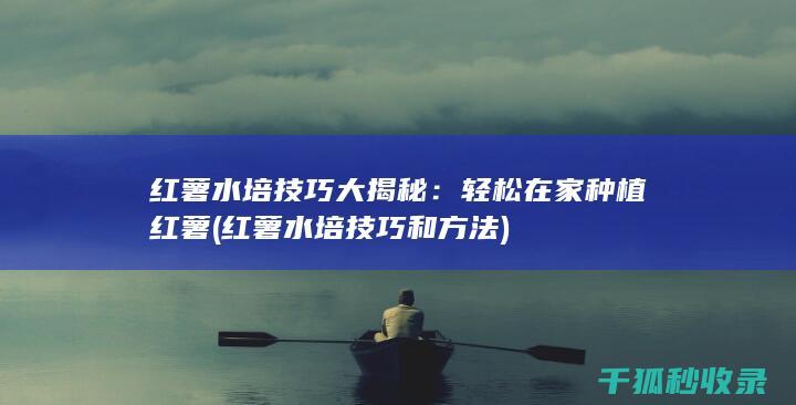 红薯水培技巧大揭秘：轻松在家种植红薯 (红薯水培技巧和方法)