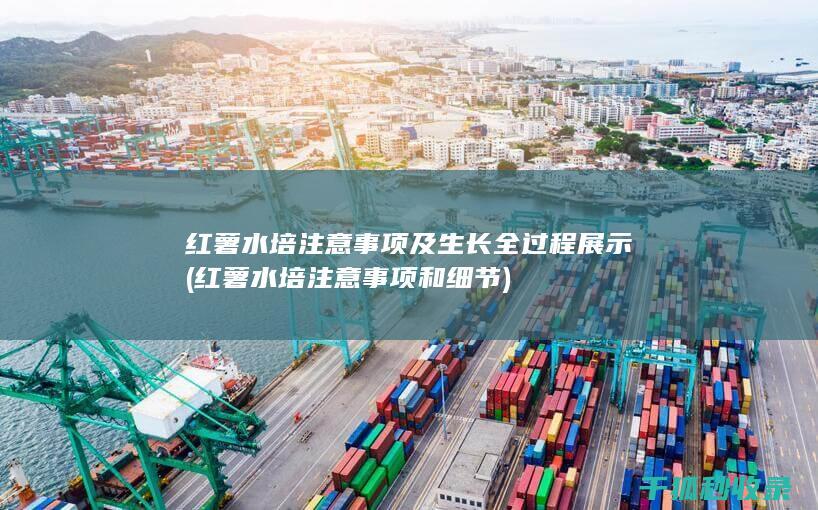 红薯水培注意事项及生长全过程展示 (红薯水培注意事项和细节)
