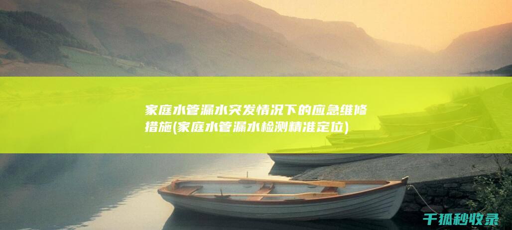 家庭水管漏水突发情况下的应急维修措施 (家庭水管漏水检测精准定位)