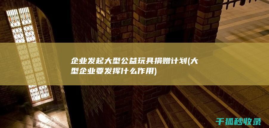 企业发起大型公益玩具捐赠计划 (大型企业要发挥什么作用)