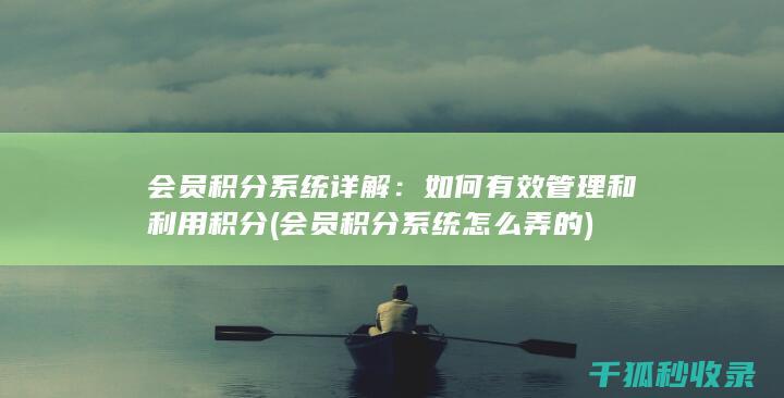 会员积分系统详解：如何有效管理和利用积分 (会员积分系统怎么弄的)