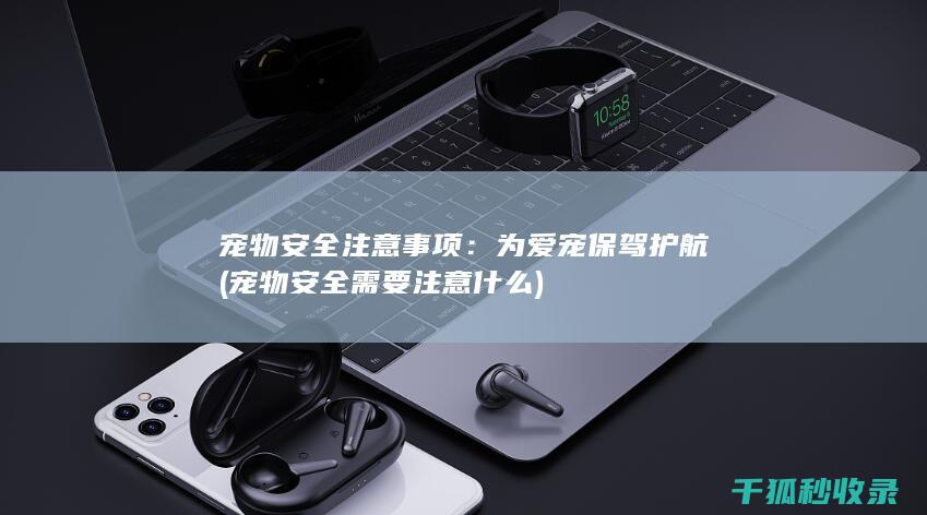 宠物需要注意什么