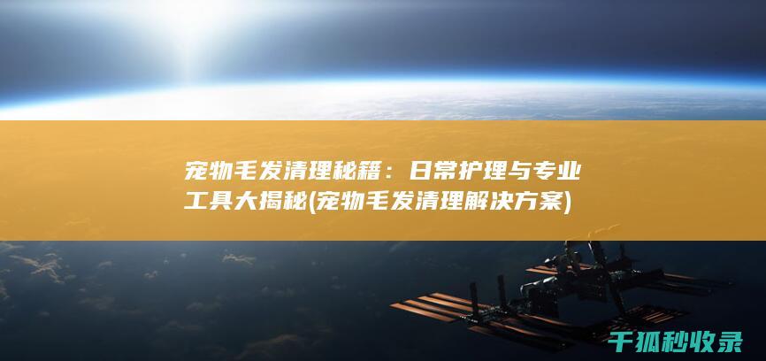 宠物毛发清理秘籍：日常护理与专业工具大揭秘 (宠物毛发清理解决方案)