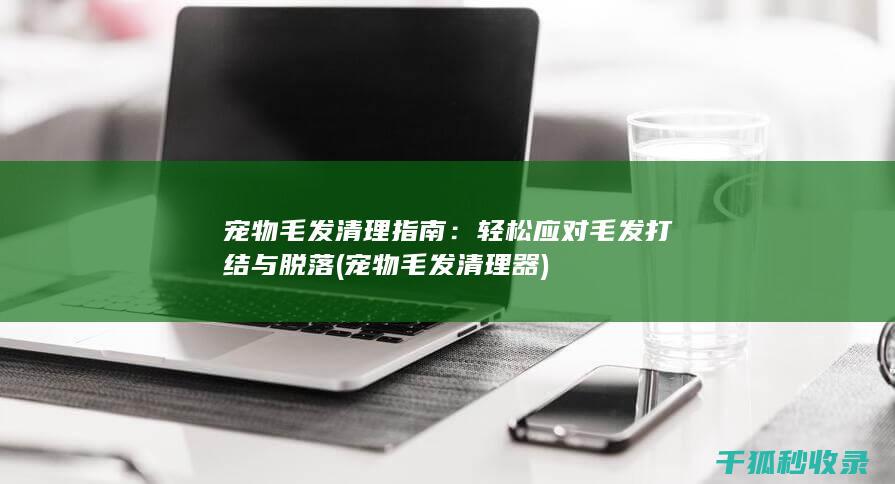 宠物毛发清理指南：轻松应对毛发打结与脱落 (宠物毛发清理器)