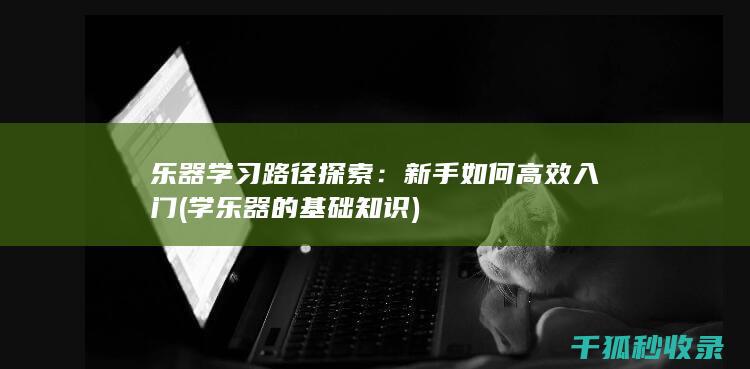 乐器学习路径探索：新手如何高效入门 (学乐器的基础知识)