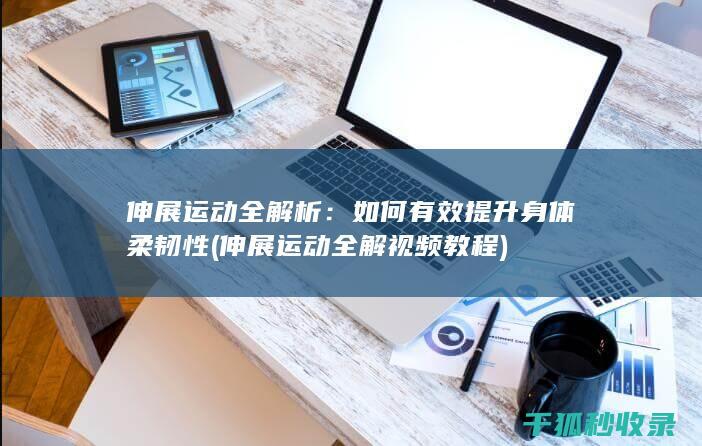 伸展运动全解析：如何有效提升身体柔韧性 (伸展运动全解视频教程)