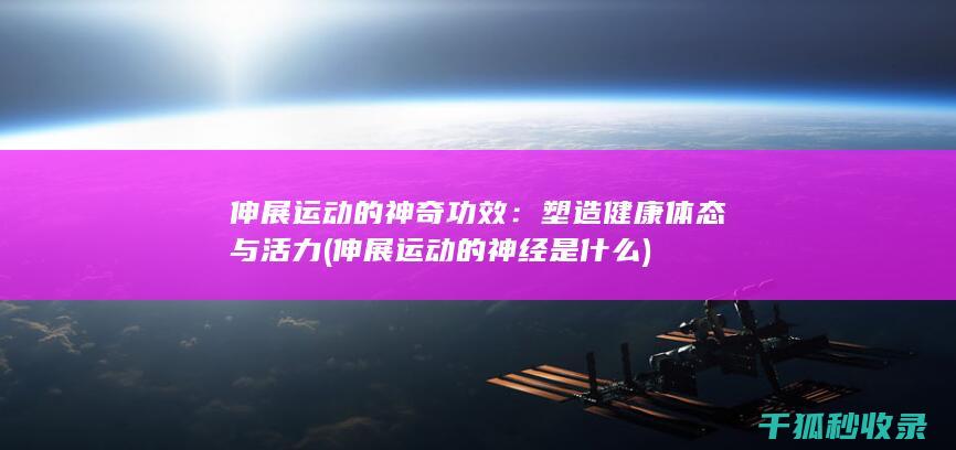 伸展运动的神奇功效：塑造健康体态与活力 (伸展运动的神经是什么)