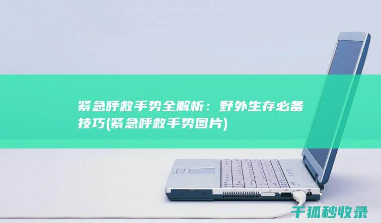 紧急呼救手势全解析：野外生存必备技巧 (紧急呼救手势图片)