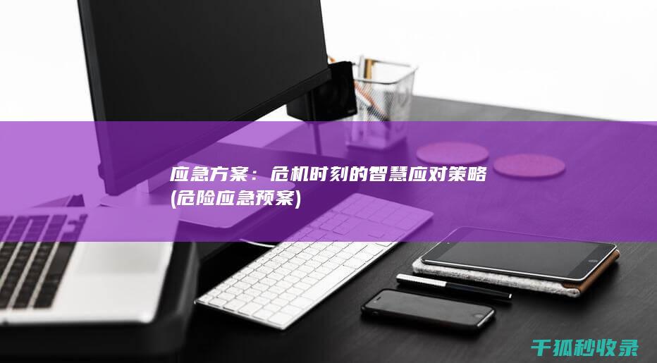 应急方案：危机时刻的智慧应对策略 (危险应急预案)