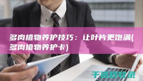 多肉植物养护技巧：让叶片更饱满 (多肉植物养护卡)