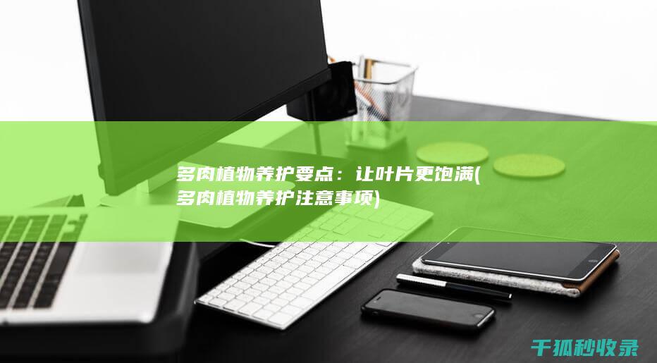 多肉植物养护要点：让叶片更饱满 (多肉植物养护注意事项)