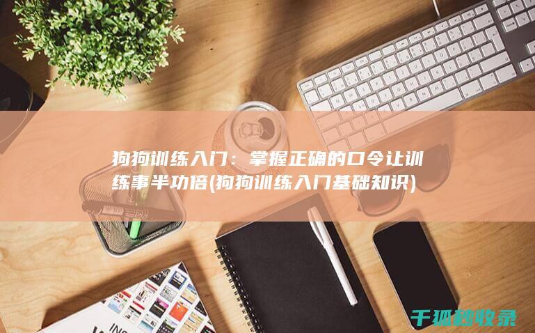 狗狗训练入门：掌握正确的口令让训练事半功倍 (狗狗训练入门基础知识)