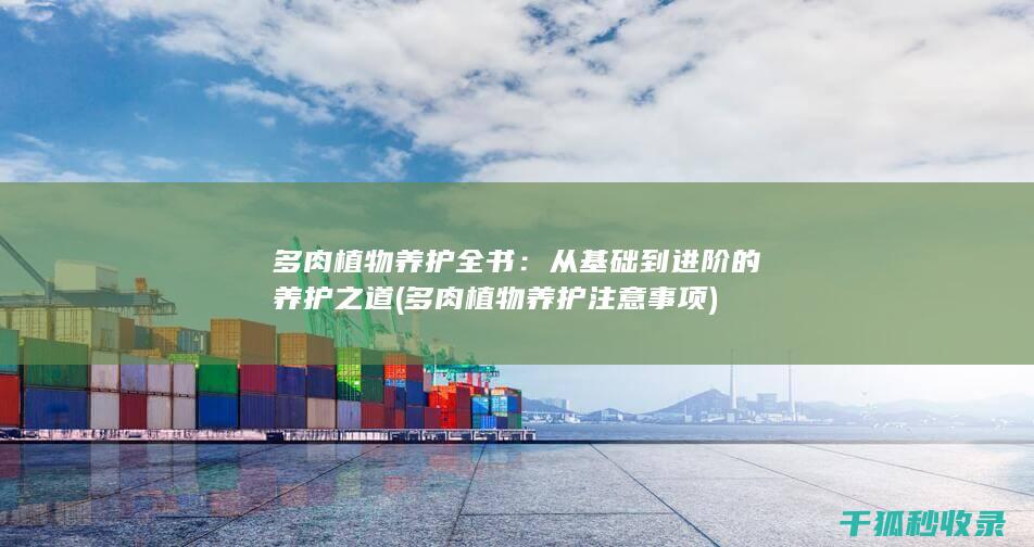 多肉植物养护全书：从基础到进阶的养护之道 (多肉植物养护注意事项)