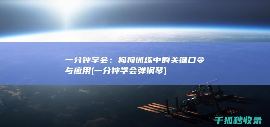 一分钟学会：狗狗训练中的关键口令与应用 (一分钟学会弹钢琴)