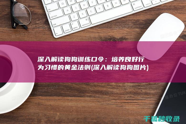 深入解读狗狗训练口令：培养良好行为习惯的黄金法则 (深入解读狗狗图片)