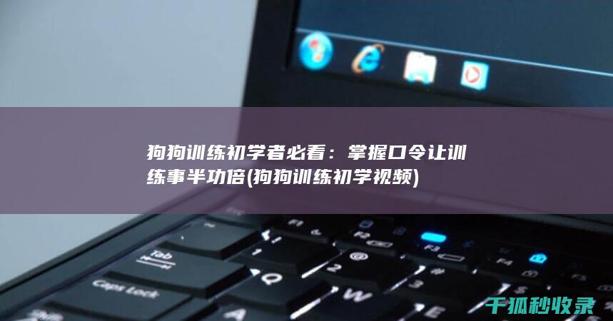 狗狗训练初学者必看：掌握口令让训练事半功倍 (狗狗训练初学视频)