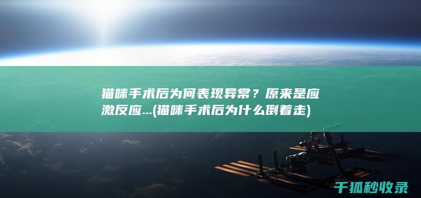 猫咪手术后为何表现异常？原来是应激反应... (猫咪手术后为什么倒着走)