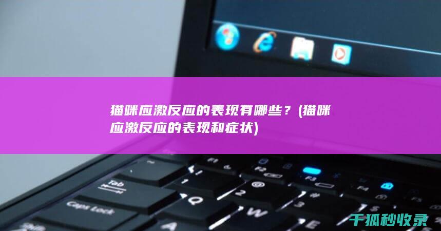 猫咪应激反应的表现有哪些？ (猫咪应激反应的表现和症状)