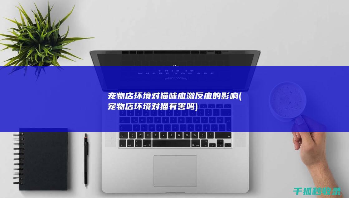 宠物店环境对猫咪应激反应的影响 (宠物店环境对猫有害吗)