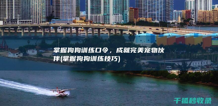 掌握狗狗训练口令，成就完美宠物伙伴 (掌握狗狗训练技巧)