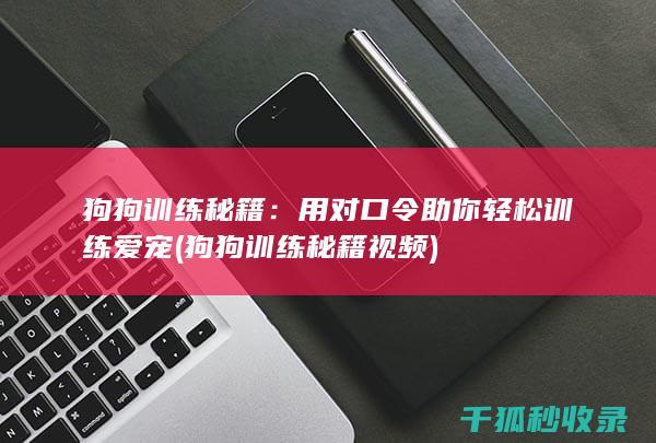 狗狗训练秘籍：用对口令助你轻松训练爱宠 (狗狗训练秘籍视频)
