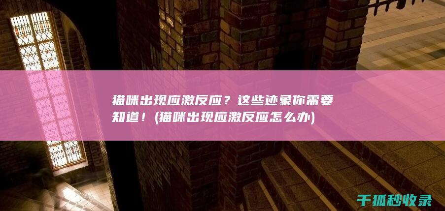 猫咪出现应激反应？这些迹象你需要知道！ (猫咪出现应激反应怎么办)